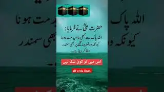 Hazrat Ali Quotes | Hazrat Ali AS Ne Irshad Farmaya | Farman e Mola Ali AS