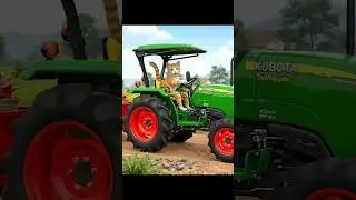 🚜🐱 Cat Farming Adventure 🌾 | Cute Cat Driving Tractor! #cat
