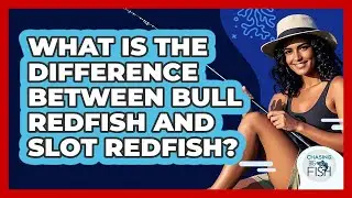 What Is The Difference Between Bull Redfish And Slot Redfish? - Chasing Big Fish