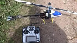 Align T Rex 450 Sport, funfly !
