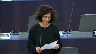#EPlenary - Egypt: Closing statement by Commissioner Neven MIMICA