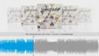 Mirco Niemeier feat. John Gham - Free Soul
