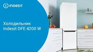 Холодильник Indesit DFE 4200 W  - обзор модели