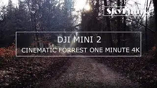 DJI MINI 2 - CINEMATIC FORREST ONE MINUTE | 4K