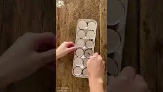 DIY Seed Pots Newspaper & Eggshells! ♻️