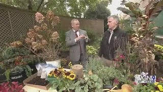 The Gardener's Toolbox: Tips to make your fall garden clean-up easier!
