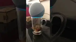 Como eu achava que funcionava a Alexa