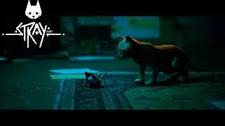 Stray Full Gameplay Chapter 3: The Flat
