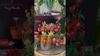 Check out These LEGOS for Plant People!! 🥹🌱 Cutest Tiny Plant Set!