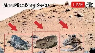 NASA Shocked! Mars Rover&rsquo;s Last Image Reveals Shocking Rocks on Mars | 360&deg; 4K (2025)1617