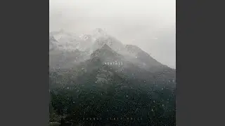 Snowfall