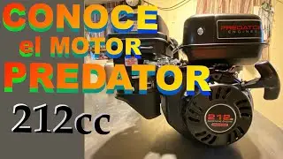 MOTOR PREDATOR 212cc // BEST PREDATOR ENGINE 212 SO FAR.