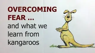 Overcoming Fear - and what we learn from kangaroos!