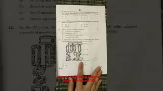 Class 10 CBSE Boards Question Paper of Science 2023