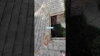 Title:&ldquo;Deep Gutter Cleaning in Tampa 🍂💦 | Removing Leaves & Dirt&rdquo;