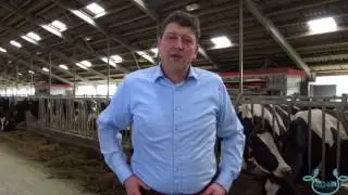 Nedap cow positioning case study