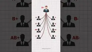 Blood Groups | the geo explorer #blood #bloodgroups