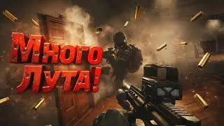 Хочу Денюжку 💰 | Arena Breakout Infinite |