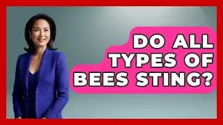 Do All Types Of Bees Sting? - Exploring Campgrounds
