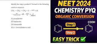 NEET 2024 Chemistry PYQ &ndash; Perfect for Revision