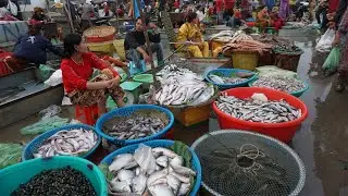 The Big Site Distribute SeaFood & Fish - Morning Daily LifeStyle of Vendors Selling Fish, SeaFood...