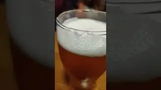 Brewdog Punk IPA in Wetherspoons, Fallowfield, Manchester