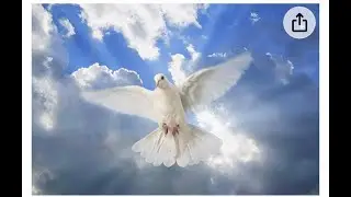 True Gospel Apostolic Faith Church 12-28-2025