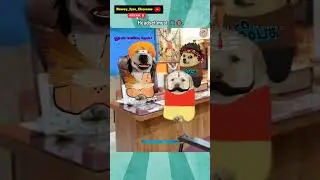 Cheems comedy