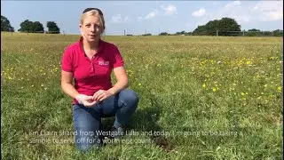 Taking a sample for a worm egg count