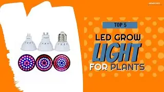 Full Spectrum White Led Grow Lights - Best 5 LED grow Light Collections
