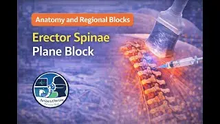 rector Spinae Plane Block | Anatomy | Regional Anaesthesia | Anaesthesia review Hub