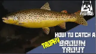 Russian Fishing 4 - Tunguska - How to catch a Brown trout trophy