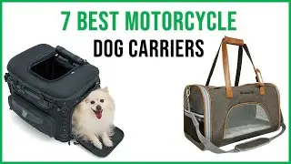 ✅ Best Motorcycle Dog Carriers-Top 7 Motorcycle Dog Carriers Review In 2022
