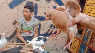نفسي اجيب حمام 😥بس مش عارف