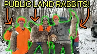 Rabbit Hunting our BEST Public Land Spot! (Lots of Rabbits!)