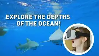 Abacus Virtual Reality Oceans! with DK book #stemeducation #bookshop #toyshop #virtualreality