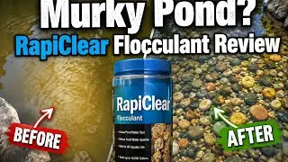 Murky Pond?  RapiClear Floculant Review