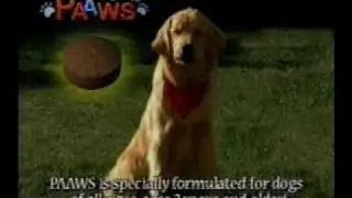 Pet Antioxidants Work Wonders for Dogs - Dr Carol Osborne, DVM