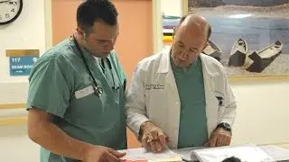 What Nurses Do
