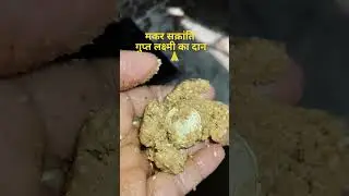 14 January Makar Sakranti per Gupt Lakshmi ka Dan #upay #rog mukt #panditpradeepmishrasirowale 🙏