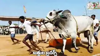 బత్తుల బ్రదర్స్ దేవర version winning place