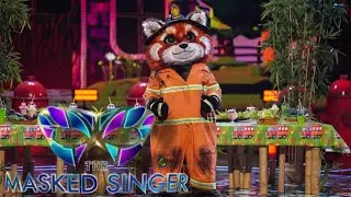 Red Panda sings 