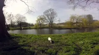 GoPro Groningen 2015