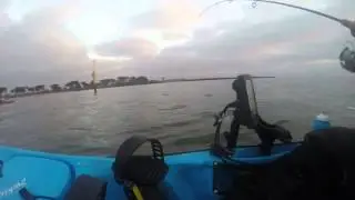 King George Whiting PPB on a kayak