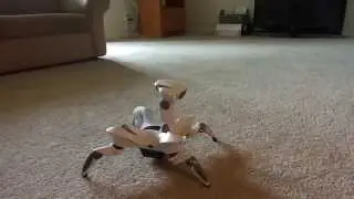 RoboQuad - Ci&ecirc;ncia sem Fronteiras USA