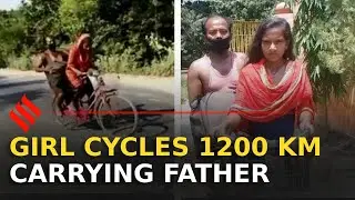 Bihar girl cycles 1200 km carrying injured father; offered trial
