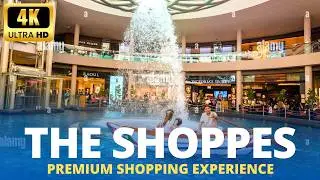 Exploring The Shoppes at Marina Bay Sands (Luxury Shopping, Iconic Views, Must-Visit Spots)