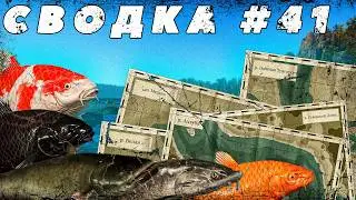 СВОДКА ПО ВОДОЁМАМ №41 | ФАРМ СЕРЕБРА И РАЗДАЧА ТРОФЕЕВ НА МЕДНОМ | ЧЁРНЫЙ АМУР | ОСЁТР | КУТУМ