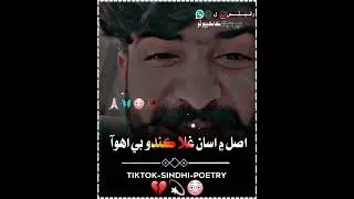 #sindhi #status #raees #baloch#shayari #alightmotion #sad #poetry