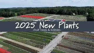 Fruit Tree Pollination- Prides Corner Farms